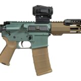 Shark Coast Tactical SCC06568GOB300-P Goblin Bundle 300 Blackout 30+1 10" Threaded Barrel, Aluminum Receiver w/Picatinny Rail, M-LOK Handguard, Polymer SB Tactical SBA3 Brace, Streamlight ProTac Rail