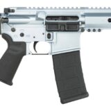 Shark Coast Tactical SCC07114AGC-P Arctic Gun Candy  5.56 NATO 30+1 10.50" Black Nitride Threaded Barrel, Aluminum Receiver w/Picatinny Rail, M-LOK Handguard, SB Tactical SBA3 Brace, Polymer Grip