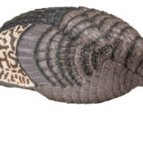 HS Strut 100002 Strut-Lite Feeder Hen Turkey Species Multi-Color Synthetic