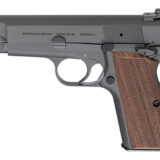 SPGFLD SA-35 4" 9MM BLU/WAL 15RD