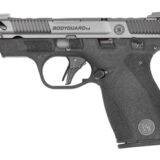 S&W BODYGRD 2 CC 380ACP 3.1" TS CA