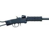 Chiappa Little Badger 17 HMR