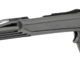 ADAPT AT02030 ARKUS RUGER 10/22 RIFLE STOCK BLK