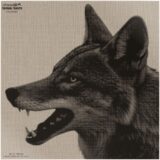 INFRARED-ID RCOYOTEHD1 THERM COY HEAD TARGT
