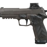 Sig Sauer 226X59LEGIONSAORXSL P226 X5 Legion w/Optic Full Size 9mm Luger 20+1 4.40" Legion Gray Cerakote Stainless Steel Integrated Compensator/Serrated w/Optic Slide & Alloy Frame w/Picatinny Rail, L