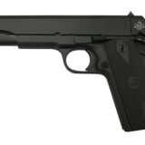 ROCK ISLAND GI STD 45ACP 5" 8RD TB