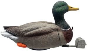 Mojo Outdoors HW2554 Dabbler Duck Mallard Drake Species